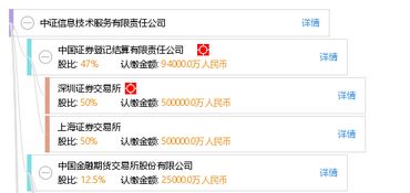 中證信息技術服務有限責任公司 軟件開發(fā)的引領者與創(chuàng)新實踐者